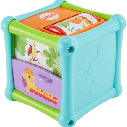 LAT FP ECL ANIMAL ACTIVITY CUBE