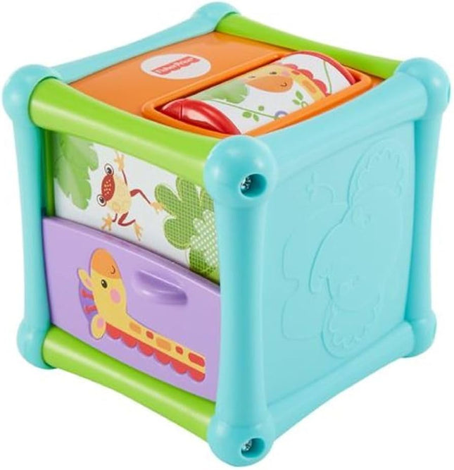 LAT FP ECL ANIMAL ACTIVITY CUBE