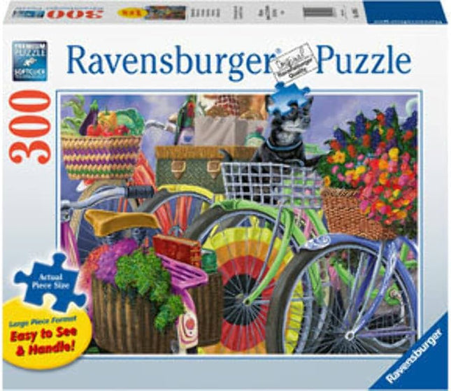 RAV 14995 Bicycle Group 300p