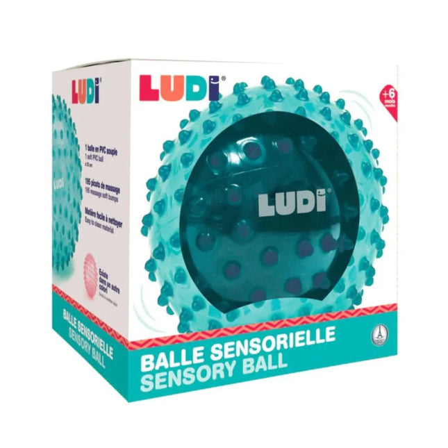 Balle De Massage Bleue
