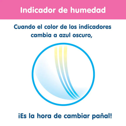 Pañales Pants Talla  L    56 un. (9-14kg)